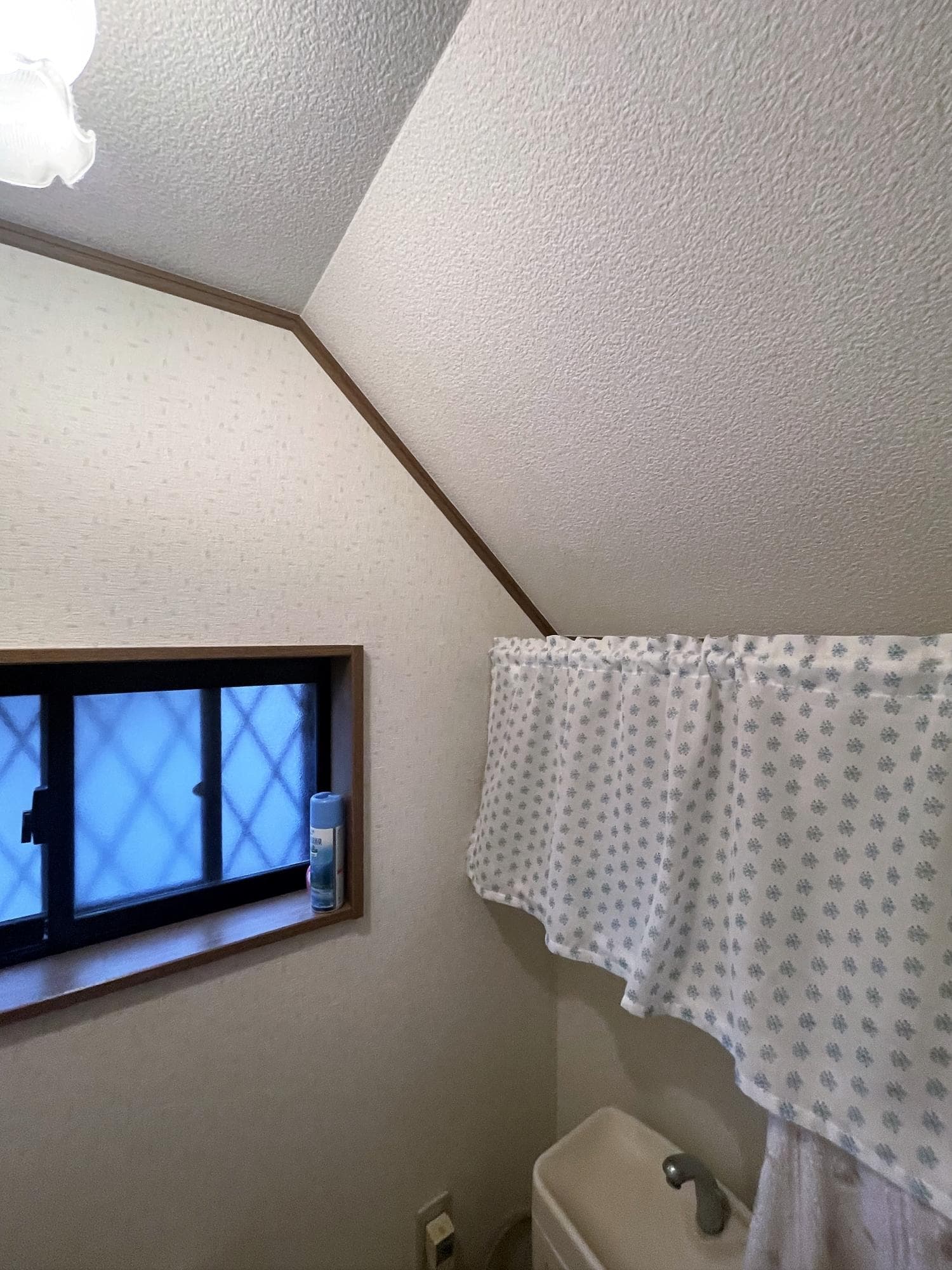 トイレBefore(1)