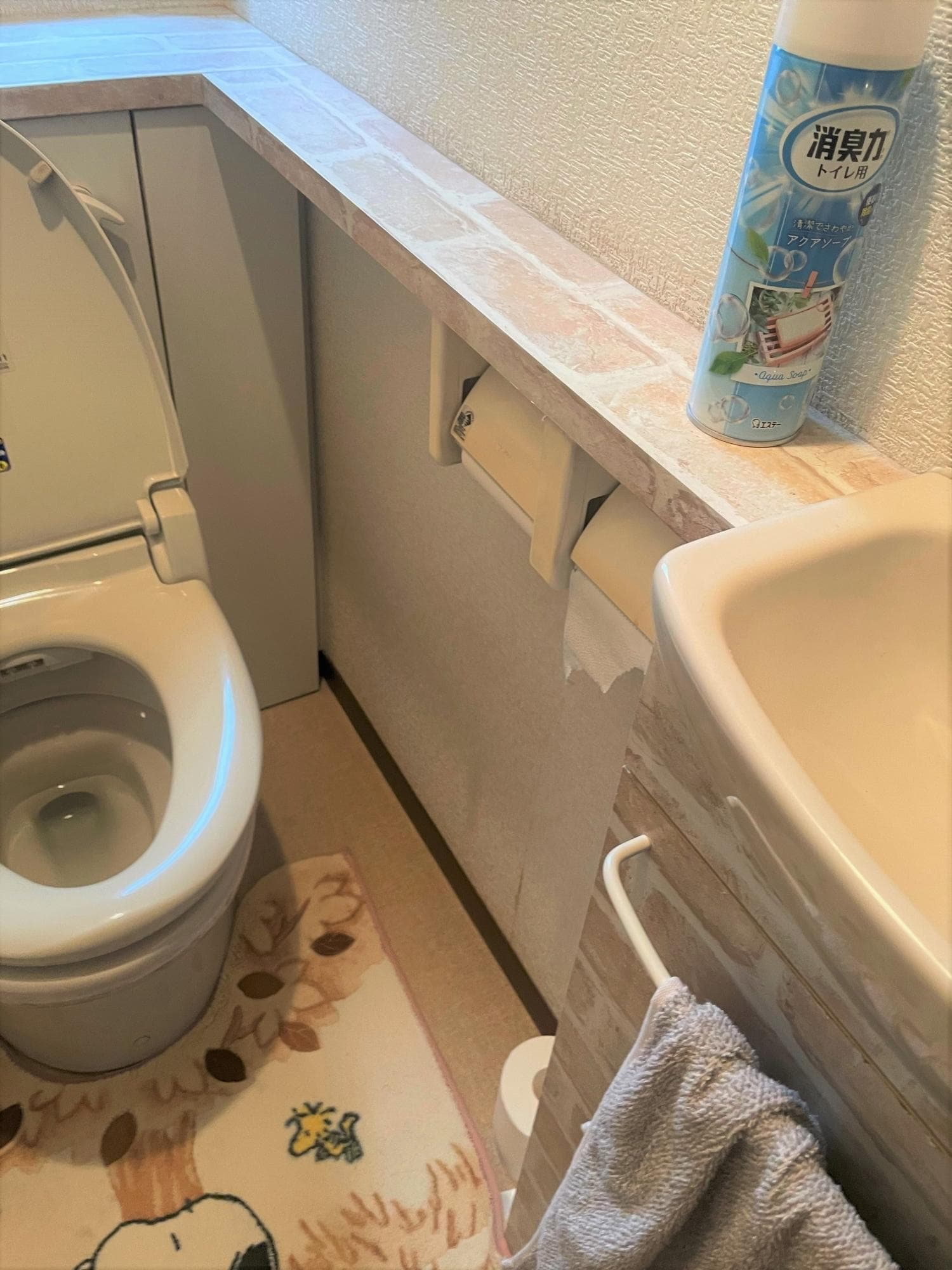 トイレBefore(1)